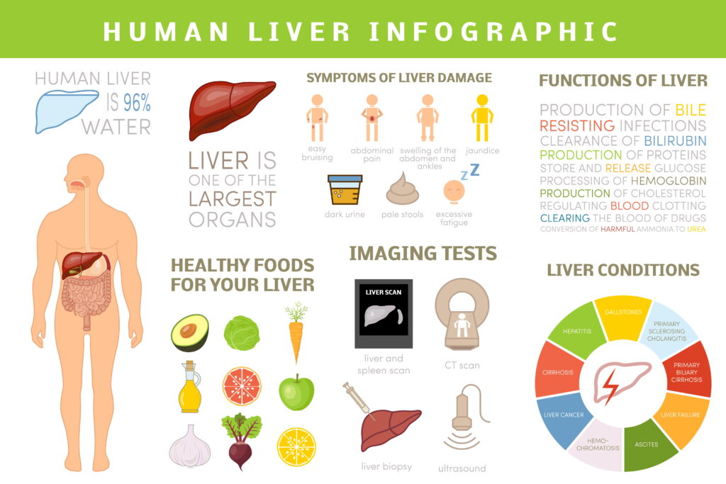 Liver Infographic